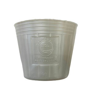 Gg[Ń|Cg10{IIGR||bg@݃CgO[@a10.5cmX9cm 4000