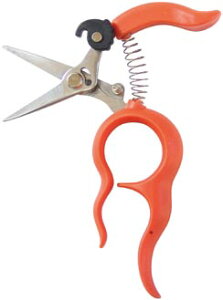 �T�{�e�����肪�g������n��1318S