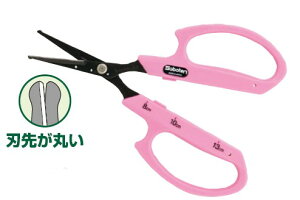 hGg[Ń|Cg5{IhT{eԂǂےnB-6