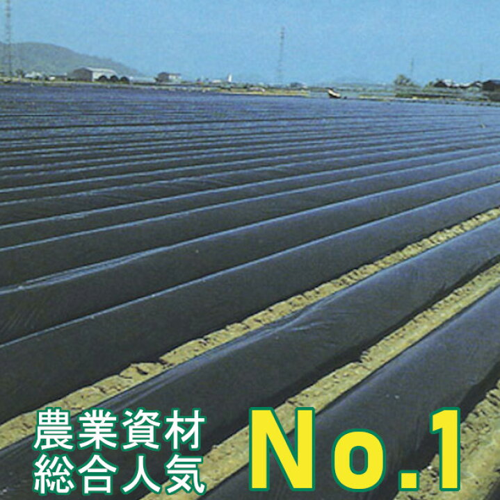 楽天市場】黒マルチ 厚さ0.02mm×幅180cm×長さ200m 直送品 雑草の抑制 