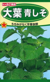 1月は31日間毎日がポイント5倍（要エントリー）シソの種　大葉青しそ　3ml　品番1330　種子　たね