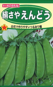 GhE̎@₦ǂ@30ml@i1250@q@