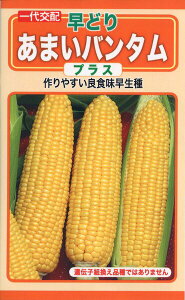 �g�E�����R�V�̎�@F1�@���ǂ�@���܂��o���^���@�v���X�@20ml�@�i��3350�@��q�@����