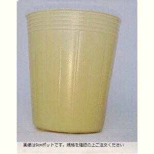 Gg[Ń|Cg10{IIJ[|bg[@x[W@a9.0cmX10.5cm@3000