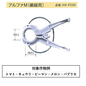 At@AM-P220וRp2200p[vij