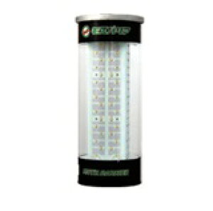 hGg[Ń|Cg5{IhXoA O[ (LEDCg ʎ  ΍ h Qhpv h铔 ƒ؉ LED Q h  悯 _Ǝ _Ɨp | 