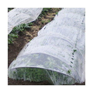 h|Cg5{IhPO gl E2X185cmX100mX0.05mm i (POtB rj[ _Ǝ gl rj[  _ glrj[  K[fjO 