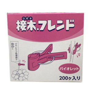 ږ؃th iXp oCIbg 200 ( {_ƃVXe _ | ƒ ؉ K[fjO oCIbg   Nbv ڈ c )