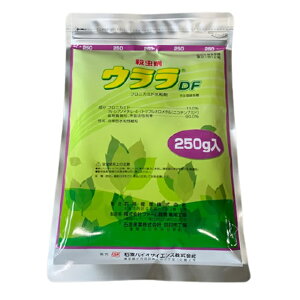 EDF 250g E (K[fjOpi K[fpi ƒ뉀| JV AuV 쏜   ΍ | K[fjO pi _Ɨpi _Ɨp _ Q쏜  E _Ǝ |pi 