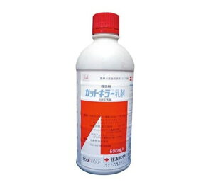 KbgL[ 500ml E (K[fjOpi K[fpi ƒ뉀| ƒ؉  ΍ | K[fjO pi _Ɨpi _Ɨp _ Q쏜  E _Ǝ |pi |p