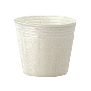 Gg[Ń|Cg10{IIJ[|bg@a7.5cm×6.5cm@@3000