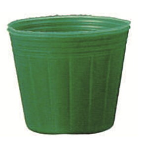 Gg[Ń|Cg10{IIJ[|bg@a9.0cm×7.6cm@΁@2000