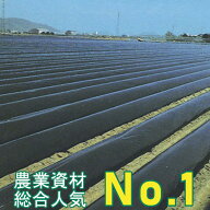 黒マルチ 厚さ0.02mm×幅150cm×長さ200m 直送品 雑草の抑制効果が高い畑用黒マルチです。(マルチシート …