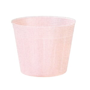 Gg[Ń|Cg10{IIJ[|bg@a9.0cm×7.6cm@ݍ@2000