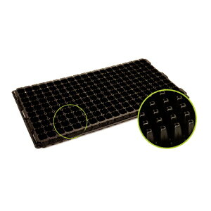 vOg[ 200 100  Ap O277×539mm [42mm ( {_ƃVXe a _ | ƒ ؉ K[fjO Zg[ c A  nEX  )