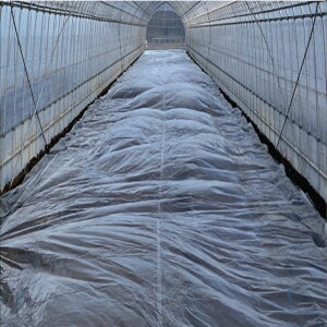 ߐtB nCoA[  0.02mm×180cm×200m(_Ɨp}` }`V[g V[g }` _ƃ}` ƒ؉ _ _Ɨp  _Ɨp _ _Ǝ | |p 