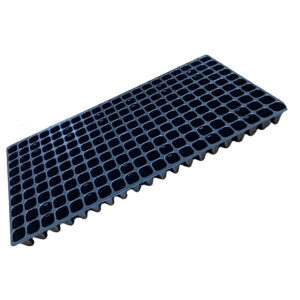 Gg[Ń|Cg10{IIvOg[SΉ^ 200p ( 񂶂ǂ )