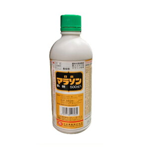 �G���g���[�Ń|�C���g5�{!!�@�}���\������500ml�E���� ( �}���\���ɂイ���� )