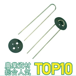 tUY ΂񂿂 30cm 200{Zbg ( ACAO IWi {_ƃVXe hV[g Y s GV[g Us V[g lbg V[g sDz }`V[g K[fj