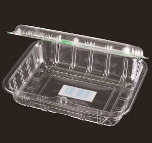 �L�E�C�p�b�NFQ5�X���C�hPOS.4C100��