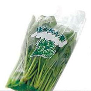 Gg[Ń|Cg10{IIق񑐏0.02mmX23/10cmX33cmX100