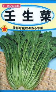 ~Yi̎@p؁@10ml@i5231@q@