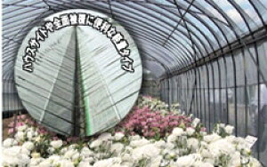 �T���T���l�b�g�\�t���C�gSL4200 0.4mm�ځ@210cm×100m�@������82%