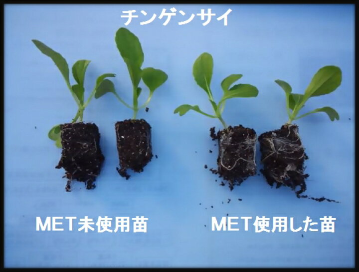 楽天市場】アミノ酸入りAG液肥 リリーフMet 8-6-2 20kg (アイアグリ 