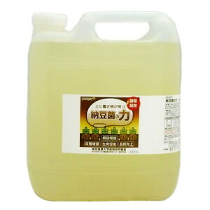 [ۂ̗ t 5L(|pi _Ǝ ƒ؉ _Ɨpi | _  K[fjOpi K[fjO _Ɨp _Ɠ |p |p | {_ƃVXeyVsX | 