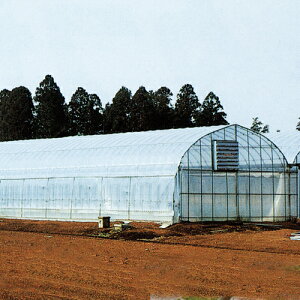 ビニールハウス 野菜 その他の農業資材 ガーデニング用品の人気商品 通販 価格比較 価格 Com