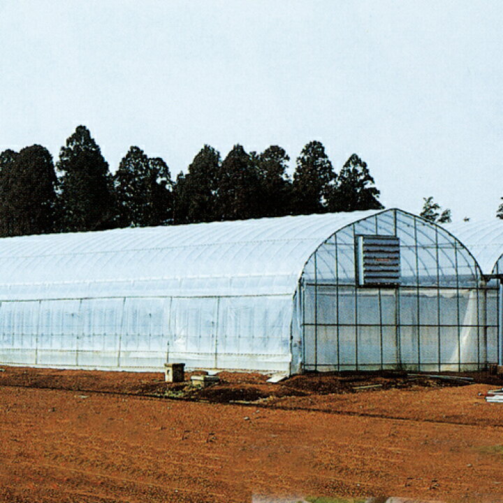 楽天市場】PO タフサイド 長さ100m×厚さ0.2mm×幅75cm(農業資材 