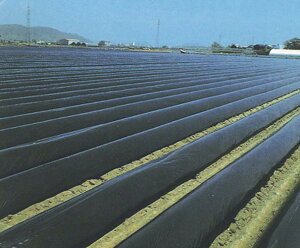 }`0.015mm×135cm×200m