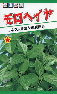 モロヘイヤ 種の通販 価格比較 価格 Com