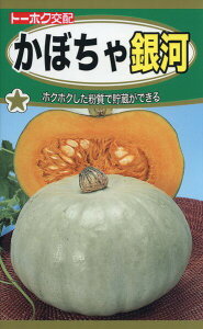 �J�{�`���̎�@F1�@���ڂ���@��́@4ml�@�i��3031�@��q�@����