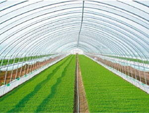 hGg[Ń|Cg5{IhPOtBiЉHj 0.1mmx700cmx25m