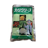 殺菌剤 カリグリーン水溶剤 500g ( 日本農業システム 農業用資材 園芸用品 家庭菜園 農業用品 園芸 ガー…