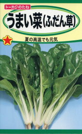 楽天市場 ふだん 草 種の通販