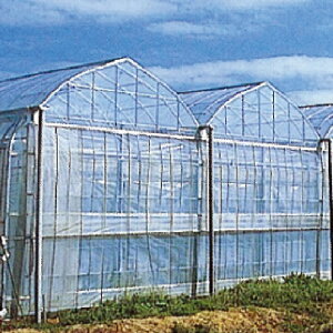 hGg[Ń|Cg5{Ih^CL[g007@0.15mm 115cm 55m