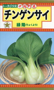 `Q؂̎@F1@`QTC@Ηz@4ml@i5041@q@