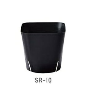 1����31���Ԗ������|�C���g5�{�i�v�G���g���[�j�d���|���|�b�g��SR-10���a10.5cm ����8.7cm 100����