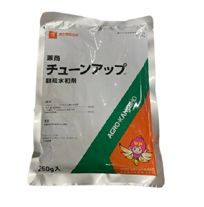 `[Abva 250g E ( ͔| ƒ؉ a K[fjOpi K[fpi ƒ뉀|  ΍ | K[fjO pi _Ɨpi _Ɨp _ Q쏜  E _