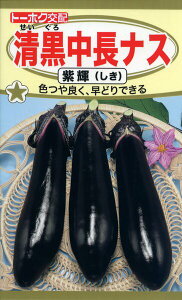 �i�X�̎�@F1�@���������Ȃ��@���P�@1ml�@�i��3671�@��q�@����