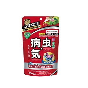 hGg[Ń|Cg5{IhxjJXK[h܁@250g ( xjJXK[hイ )