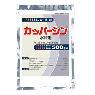カッパーシン水和剤 500g ( 園芸殺菌剤 ガーデン用品 農業用 家庭菜園 病気 対策 園芸用殺菌剤 殺菌 殺菌…