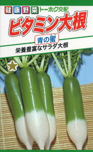 _CR̎@F1@r^~卪@̖@6ml@i6561@q@