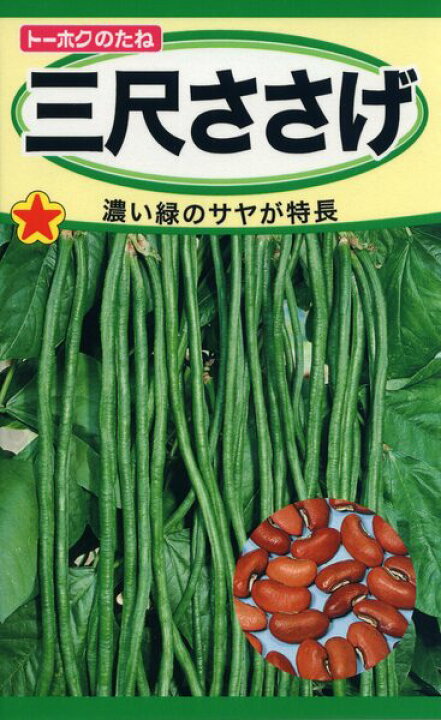 ささげ豆（訳あり含む） （あずき」とよく似ている「ささげ」ですが 