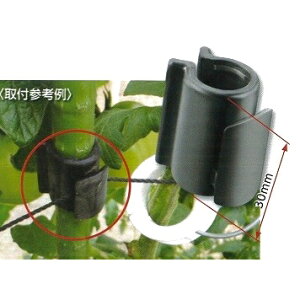 xtbN 1000 ( イtbN )