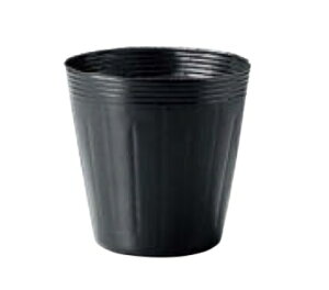 Gg[Ń|Cg10{II||bg[ a10.5cm×12cm 1200