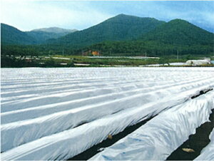 cC}` ⍕@0.023mm 95cmX200M 2{Zbg