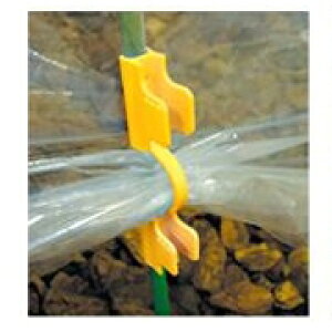 hGg[Ń|Cg5{IhglpbJ[ rj[ 11mmp IW 10 ( {_ƃVXe _ | ƒ؉ x Œ蕔  N   ͔|  )